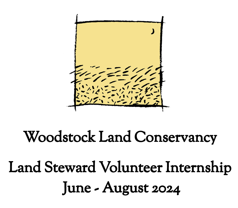 Woodstock Land Conservancy Land Steward Volunteer Internship